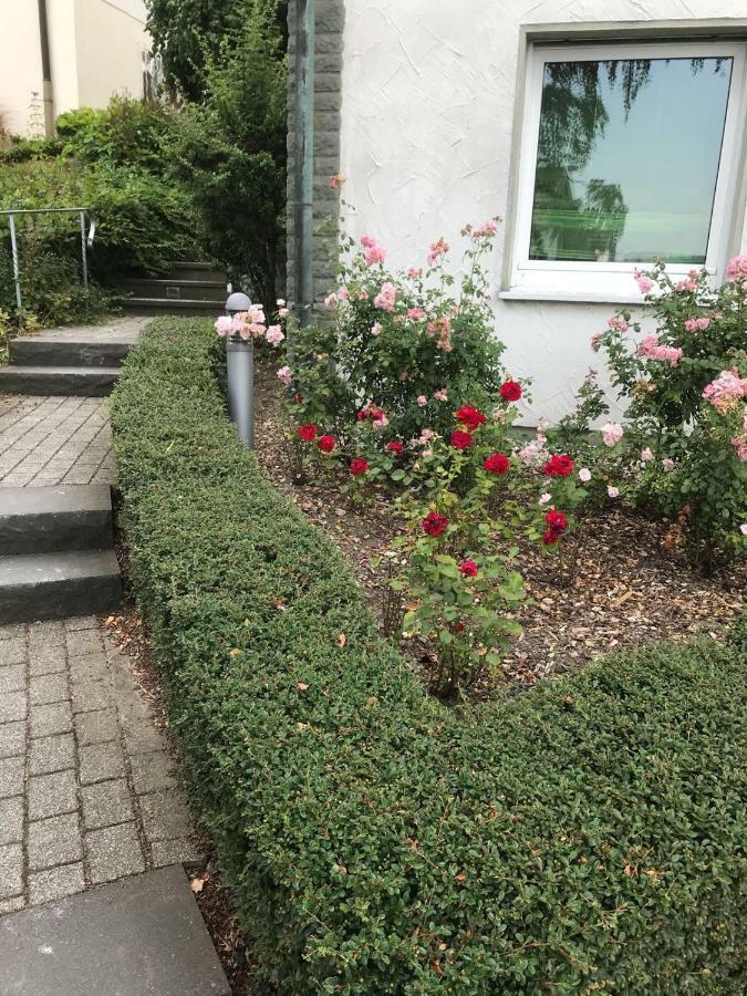 Entspanntes, Ruhiges Reich Fur Dich Arnsberg Exterior photo